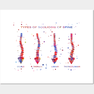 Type of scoliosis of spine Posters and Art